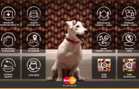 Plat, um cãozinho muito simpático, mostra os benefícios do MasterCard Platinum
