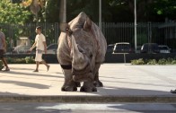 José Aldo se transforma em rinoceronte em novo filme da TNT Energy Drink
