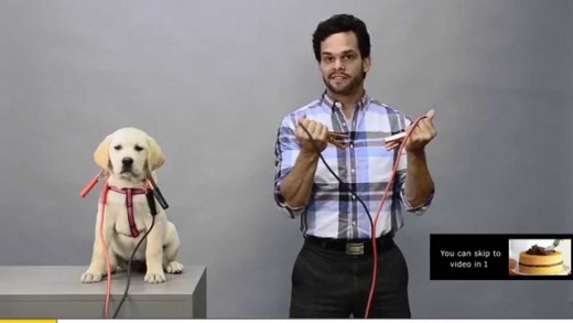 Atenção: não pule esse vídeo, senão algo pode acontecer…