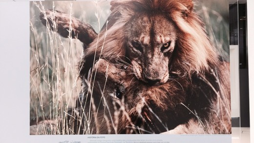 Dica de exposição: 50 Grandes fotografias, por National Geographic