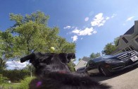 Duas GoPro, um cachorro e… lá vai a bolinha!