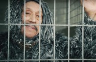 Danny Trejo interpreta vira-lata para ONG animal