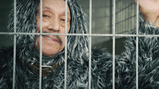 Danny Trejo interpreta vira-lata para ONG animal