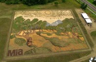 Plantações gigantes reproduzem obras de Van Gogh