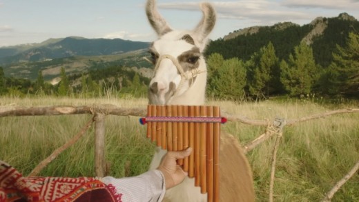 Schneider: você nunca é “só” um engenheiro elétrico!