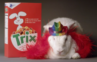Seu coelho como mascote real do cereal Trix