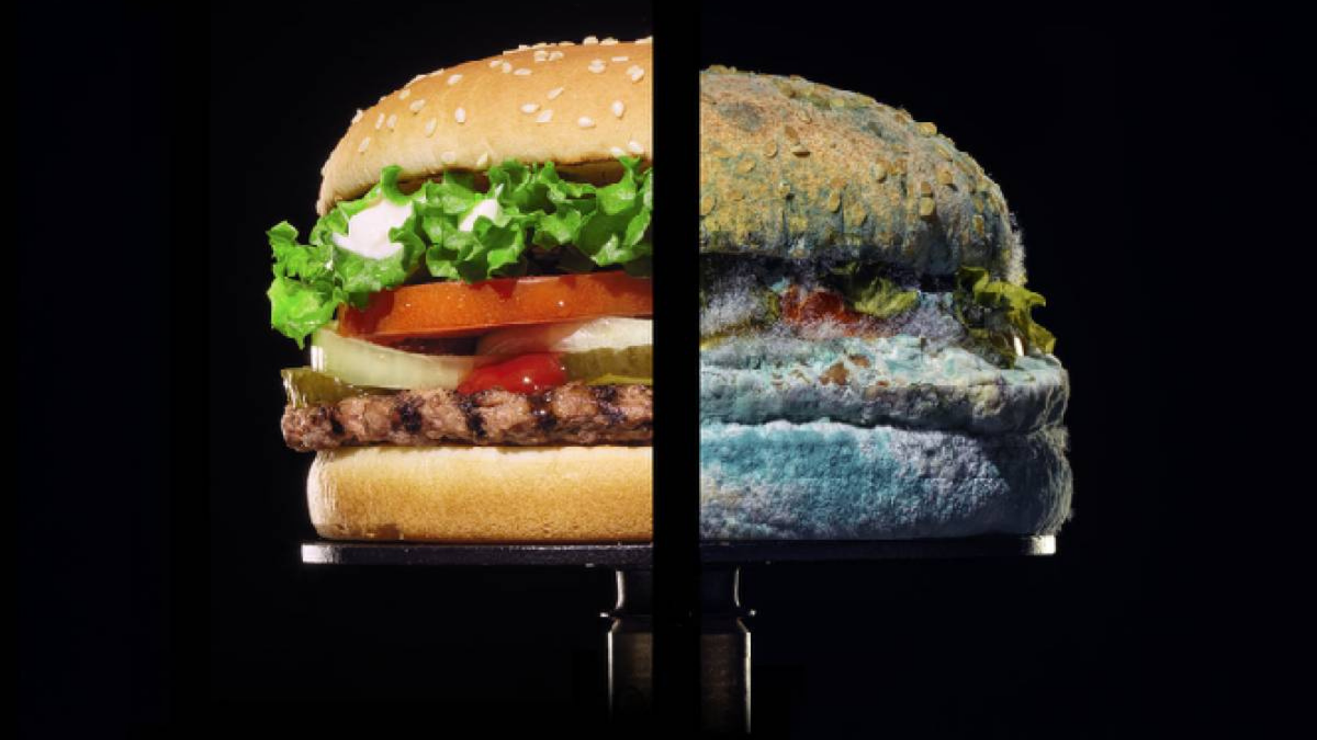 Cannes Lions 2021: Conectividade e avanço da comunicação – Confira todos os GPs do dia 21/06