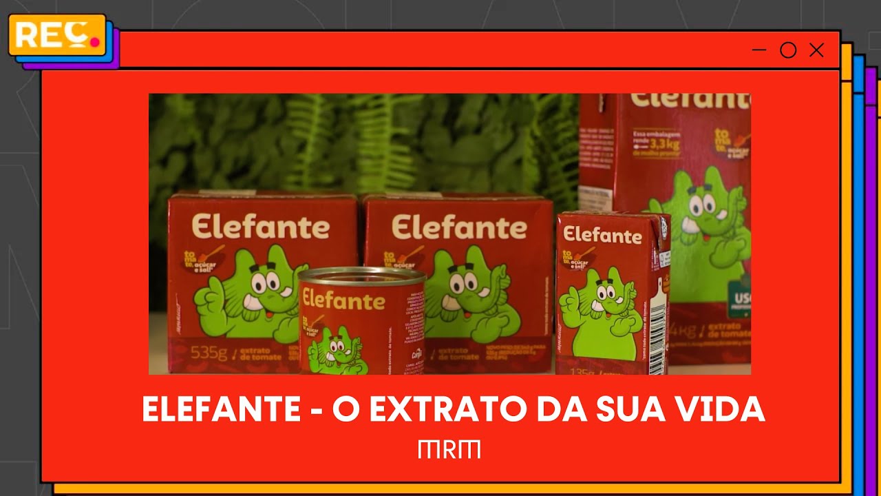 Elefante “O Extrato da Sua Vida” (MRM)